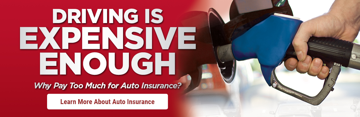 Driving is Expensive Enough